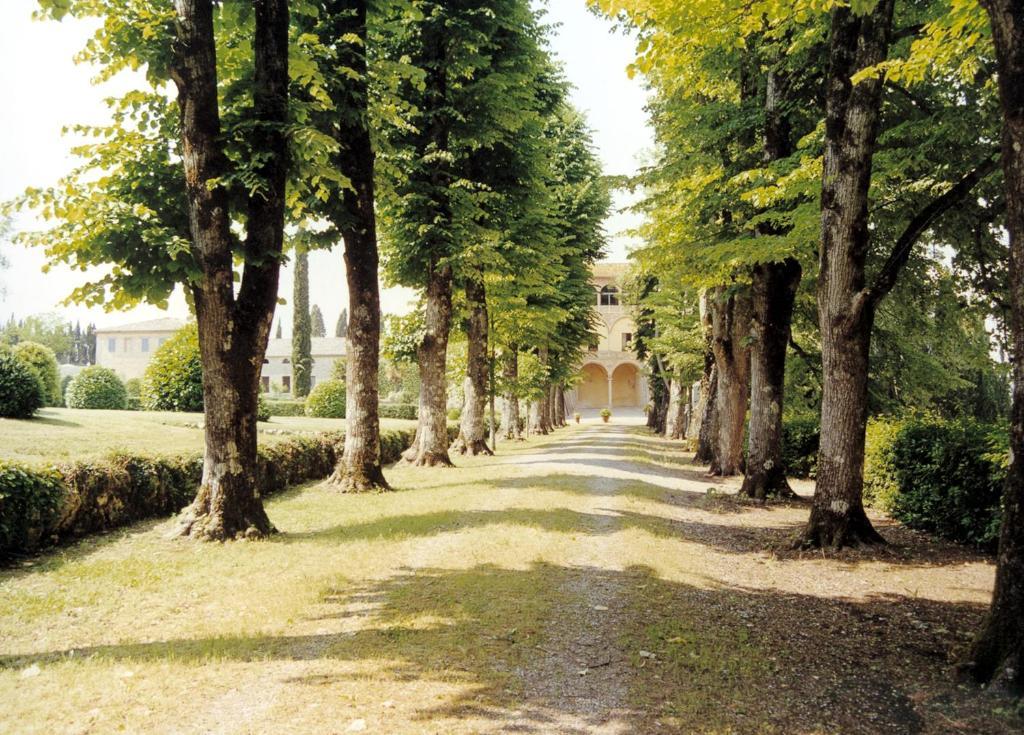 Castello Di Grotti Guest House Corsano  Phòng bức ảnh